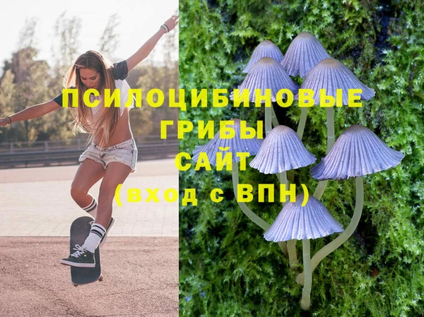 МДПВ Алексин