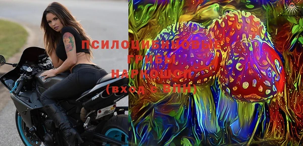 МДПВ Алексин