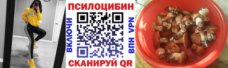 Псилоцибиновые грибы мицелий Любим
